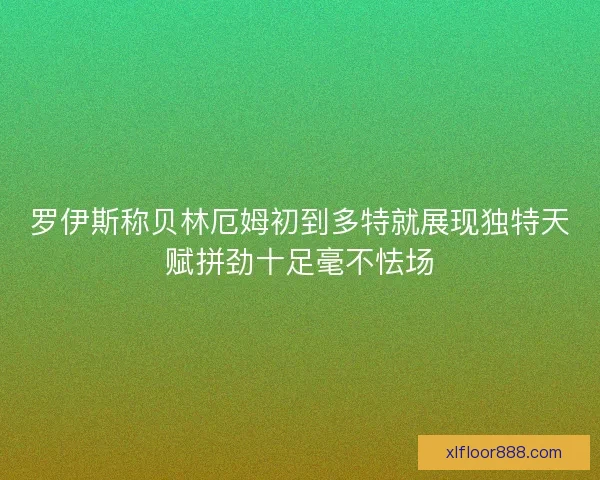 罗伊斯称贝林厄姆初到多特就展现独特天赋拼劲十足毫不怯场
