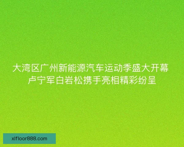 大湾区广州新能源汽车运动季盛大开幕 卢宁军白岩松携手亮相精彩纷呈