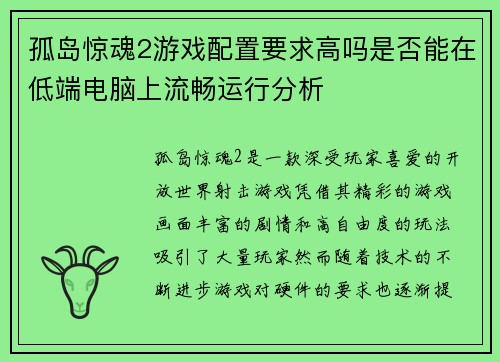 孤岛惊魂2游戏配置要求高吗是否能在低端电脑上流畅运行分析